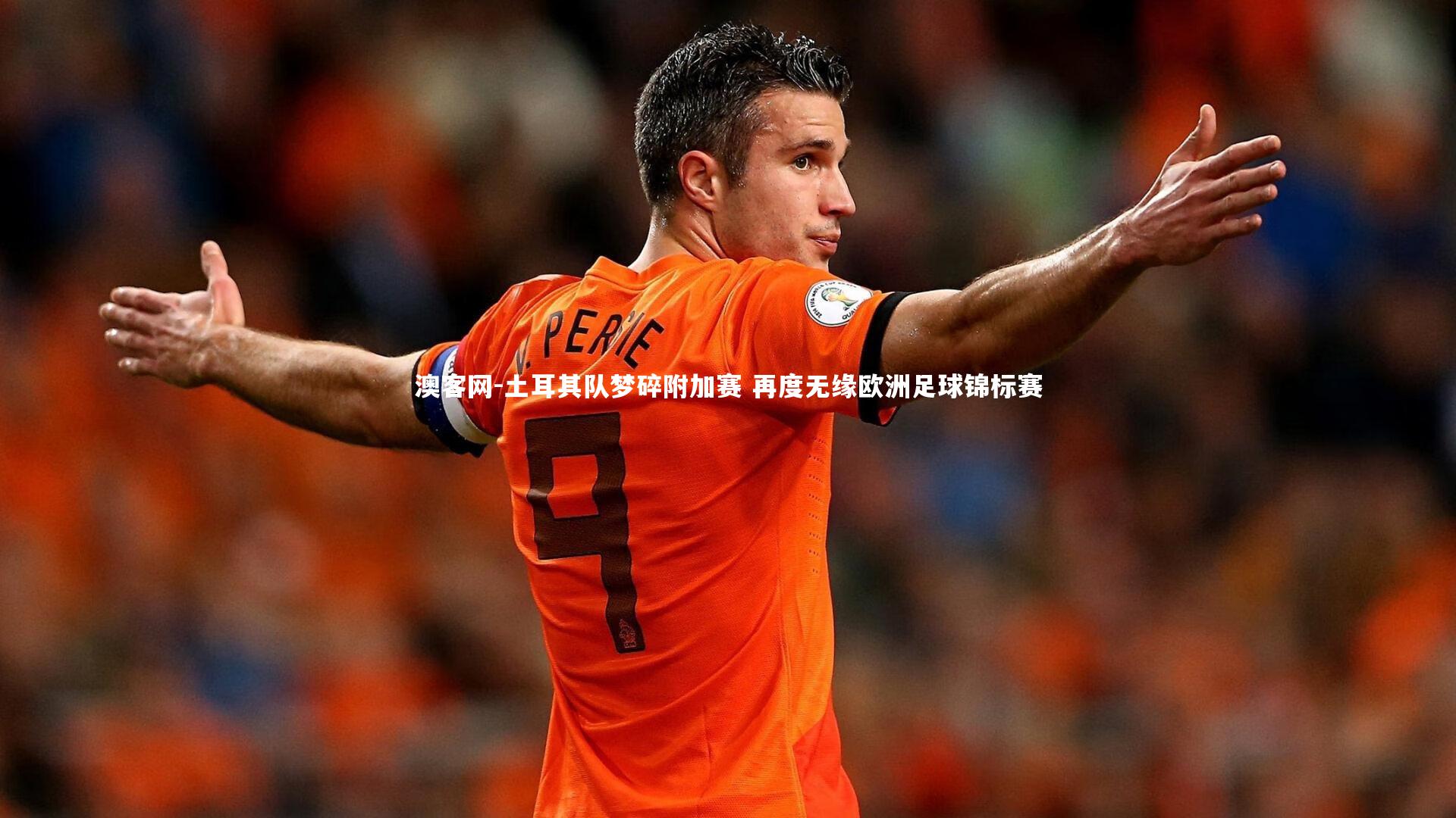澳客网-土耳其队梦碎附加赛 再度无缘欧洲足球锦标赛